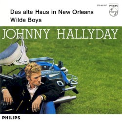 Das alte Haus in New Orleans / Wilde Boys