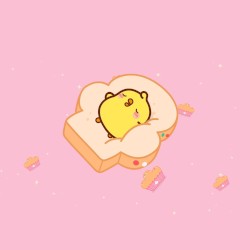 BREAD DREAMS