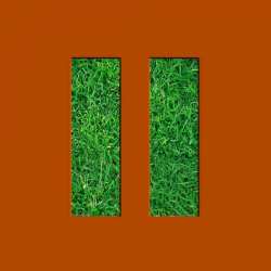 Fight! Fight! Fight!