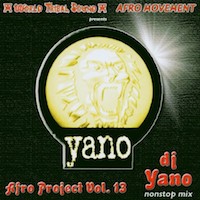 Afro Project Vol. 13