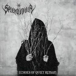 Echoes Of Quiet Remain