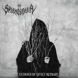 Echoes of Quiet Remain