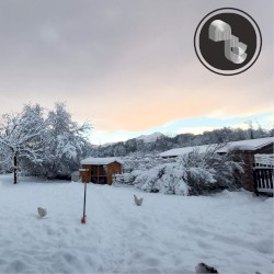 The Longing Daylight