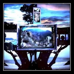 South for the Winter