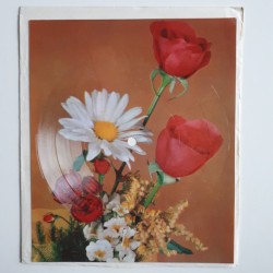 Maria Helena / Maria