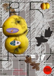 Roxane Métayer et Hugo Maillard au Papier Timbré - 02/01/2020