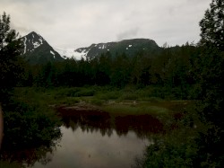 Delicate Wistfulness