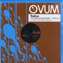 The Hybrids / Shambhalla