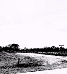 051: stupid desires and failed expressions