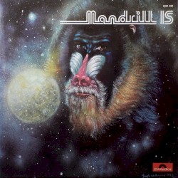 Mandrill Is