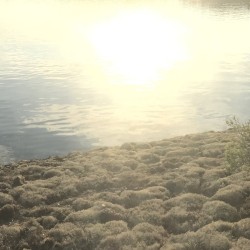 Midnight Sun 4 EP-3