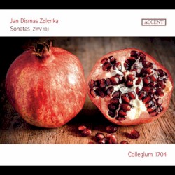 Sonatas, ZWV 181