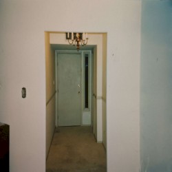 Gran Steak Lounge & The Fortitude of Will