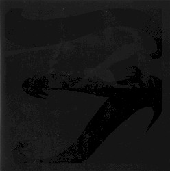 Until Water Grasps Flame