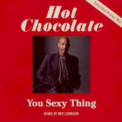You Sexy Thing (Extended Replay Mix)
