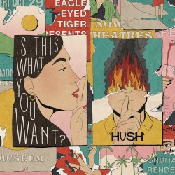 Is This What You Want? / Hush