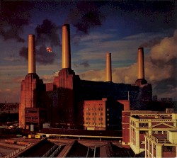 Animals