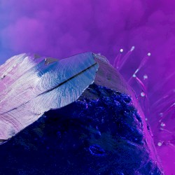 We Can (and Must) Endure