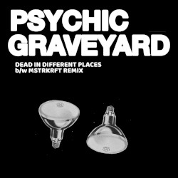 Dead in Different Places