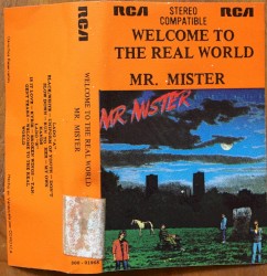 Welcome to the Real World