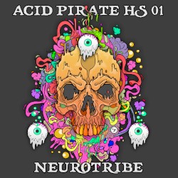 Acid Pirate HS 01