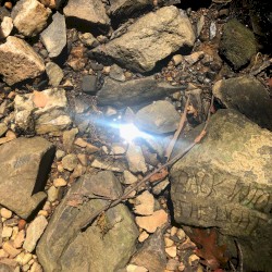 Back Into the Light
