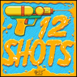 12 Shots