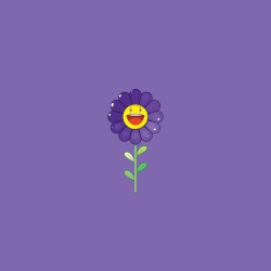 Morado