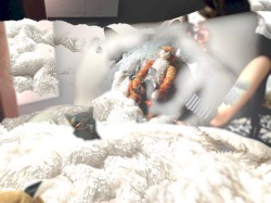 Freeroam 191 :: Three Times We've Been Freed XXII -- "long leave hom,e"