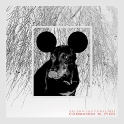 När dom dumma har fest