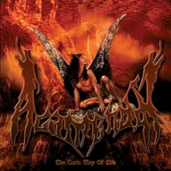 The Toxic Way Of Life