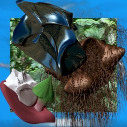 Meeting Room + Rare Plants