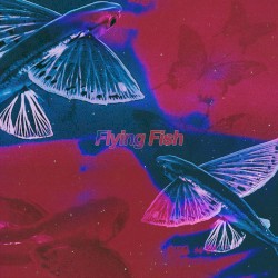 Flying Fish