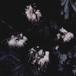 Silcasoid Beats Vol. I