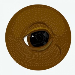 Take a Look Around (Remixes)