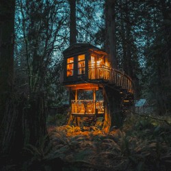 Treehouses