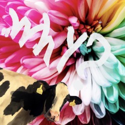 Exploitation of Life and Breast Milk