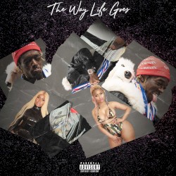 The Way Life Goes (remix)