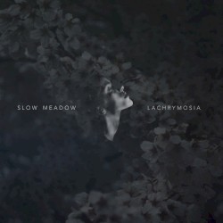 Lachrymosia / Some Familiar...