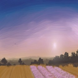 Fields