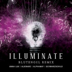 Illuminate (Blutengel remix)