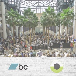 from the Archives, Vol. 1