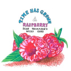 Time Has Grown A Raspberry