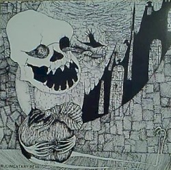 Catastrophe: Live 1982