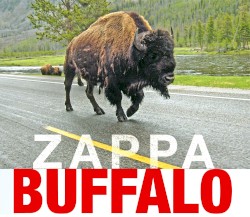 Buffalo