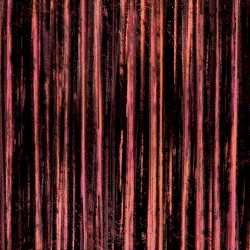 Horizon in Magnesium