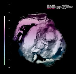 Diabolicus Felinae Pandemonium