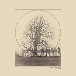 Under the Linden Tree