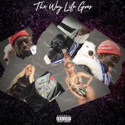 The Way Life Goes (remix)