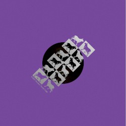 Municipal Dreams (Remixes)